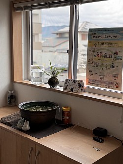 メダカに癒されます